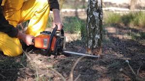 Best Tree Mulching  in Flagtown, NJ